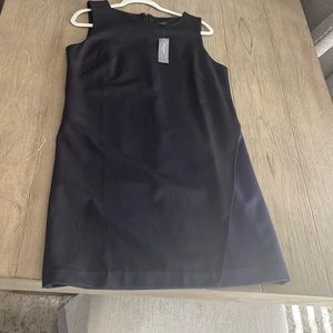 Womens Ann Taylor dress new with tags, never worn.  Size Large Petite.